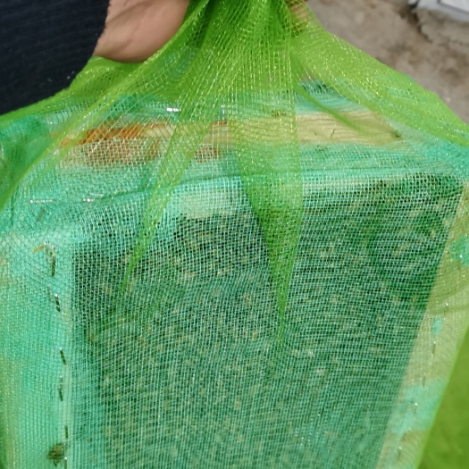 南安市中华蜜蜂   中蜂蜂群出售，质量保证。可自提可包邮需要的赶紧