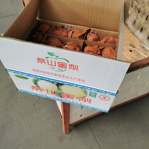 景泰县皇冠梨 黄冠梨箱装