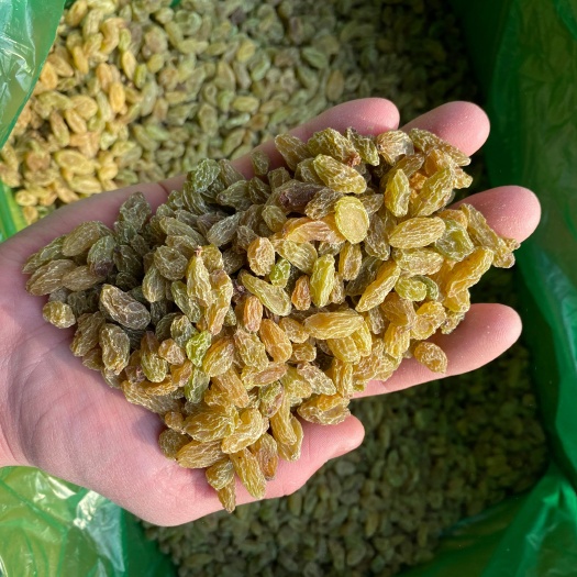 吐鲁番 白绿葡萄干 中颗粒