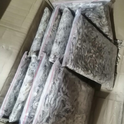 青虾 活冻河虾