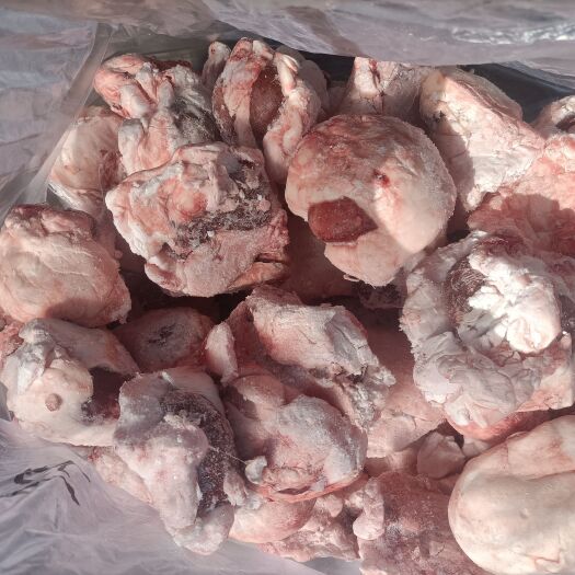 廊坊羊宝 育肥羔羊原油腰子，夏季烧烤特品，质量上佳。