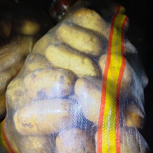 黄心土豆 安丘土豆质量好，规格全，价格便宜。