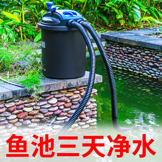 杭州疯狂水草鱼池水循环系统大锦鲤池小型室外户外养鱼水池箱过滤器
