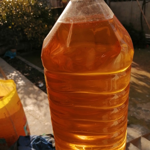 阳新县压榨精炼山茶油