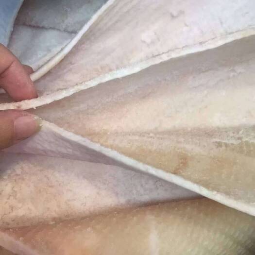 兴宁市猪皮 猪脊皮，大皮