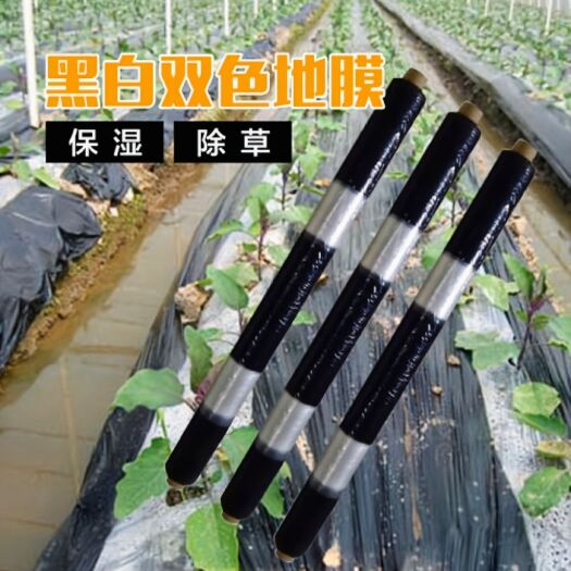 地膜 黑白相间地膜定制生产 果蔬瓜菜农作物种植专用地膜