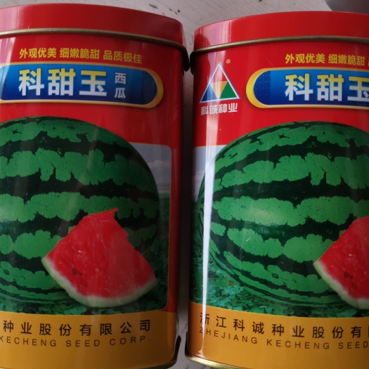 科甜玉