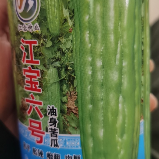 江宝六号苦瓜种子，头尾均匀，商品瓜市场抢手货，亩产达1万斤