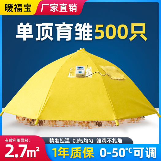 杭州孵化机全自动小鸡育雏伞