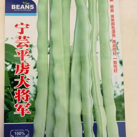 平罗县架豆种子 四季豆种子  大白豆平虏大将军  肉厚产量高条形