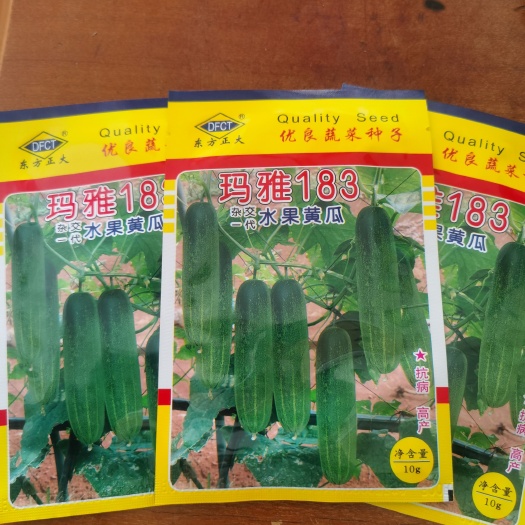 南靖县玛雅183，水果型颜色绿具有逆抗性，丰产性，适合春夏秋种植。