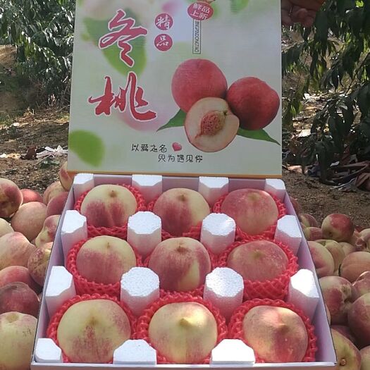 蒙阴县 水蜜桃
