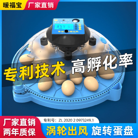 杭州迷你全自动孵化器智能家用孵化机孵小鸡机器鸟蛋柯尔鸭鹦孵蛋机