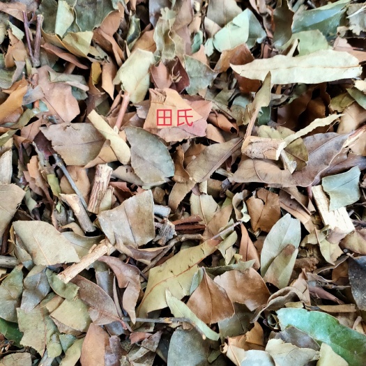 玉林 广西中药材无硫黄牛茶 黄牛木叶 凉茶  干货 九芽木