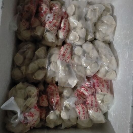北京饺子 手工水饺皮薄馅大