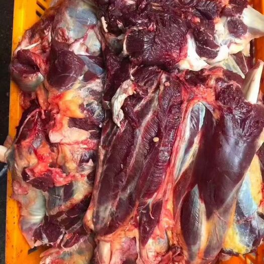 卓尼县牛肉类 甘南牦牛肉