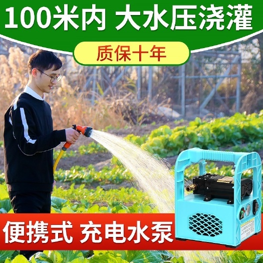 杭州抽水机锂电动12v水泵充电式浇菜水泵便携抽水户外农用浇菜神