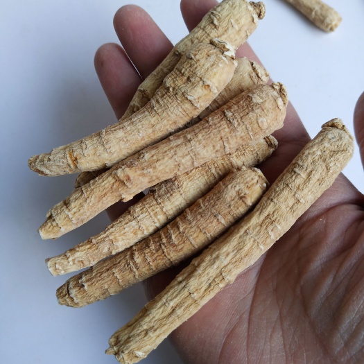 .批发西洋参条500克包邮花旗参段泡水煮汤非粉片粒