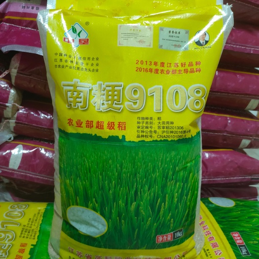 【热销】水稻种子批发南粳9108优质高产产地直供货源充足包