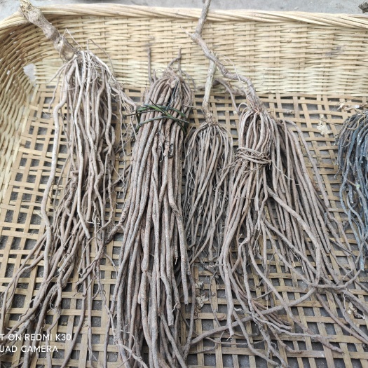 金堂县 威灵仙  纯威灵仙大山采摘，来自大山的珍品。