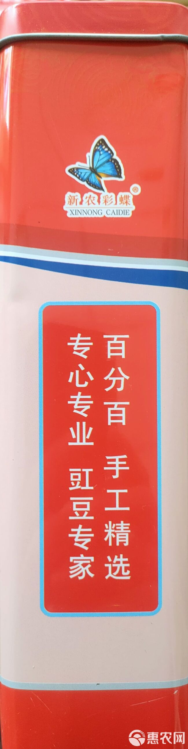 嫩绿色豇豆种子  小叶长豆角种子豇豆种子嫩绿色翠绿色顺直80