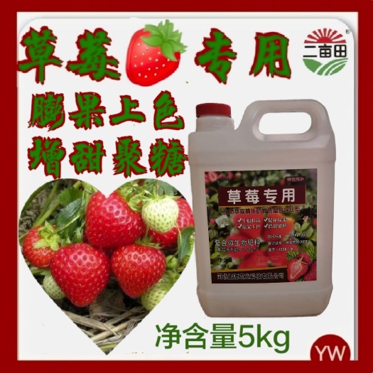 叶面肥  草莓专用   生根壮苗  促花保果 膨果上色  增