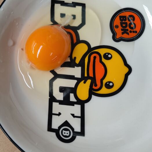 粉壳蛋  初生蛋  29-36斤 土鸡蛋 初生蛋 小码鸡蛋