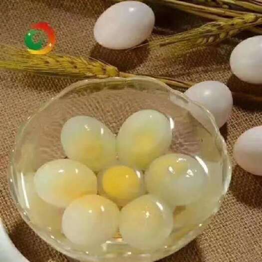 广州鸽子蛋；每天产蛋量三千只；价格包你满意