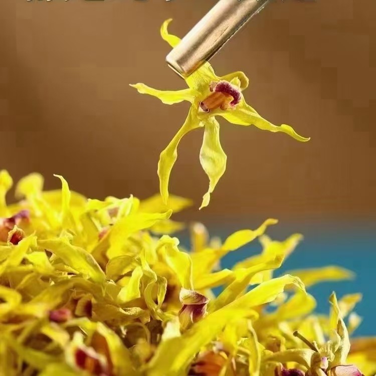 霍山铁皮石斛花 石斛花