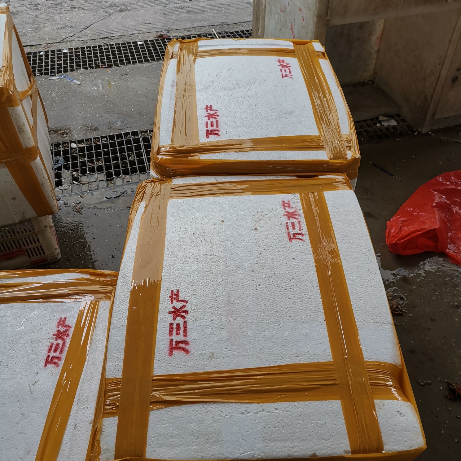 中国龙虾  合肥龙虾 常年供应各规格大虾   全国发货