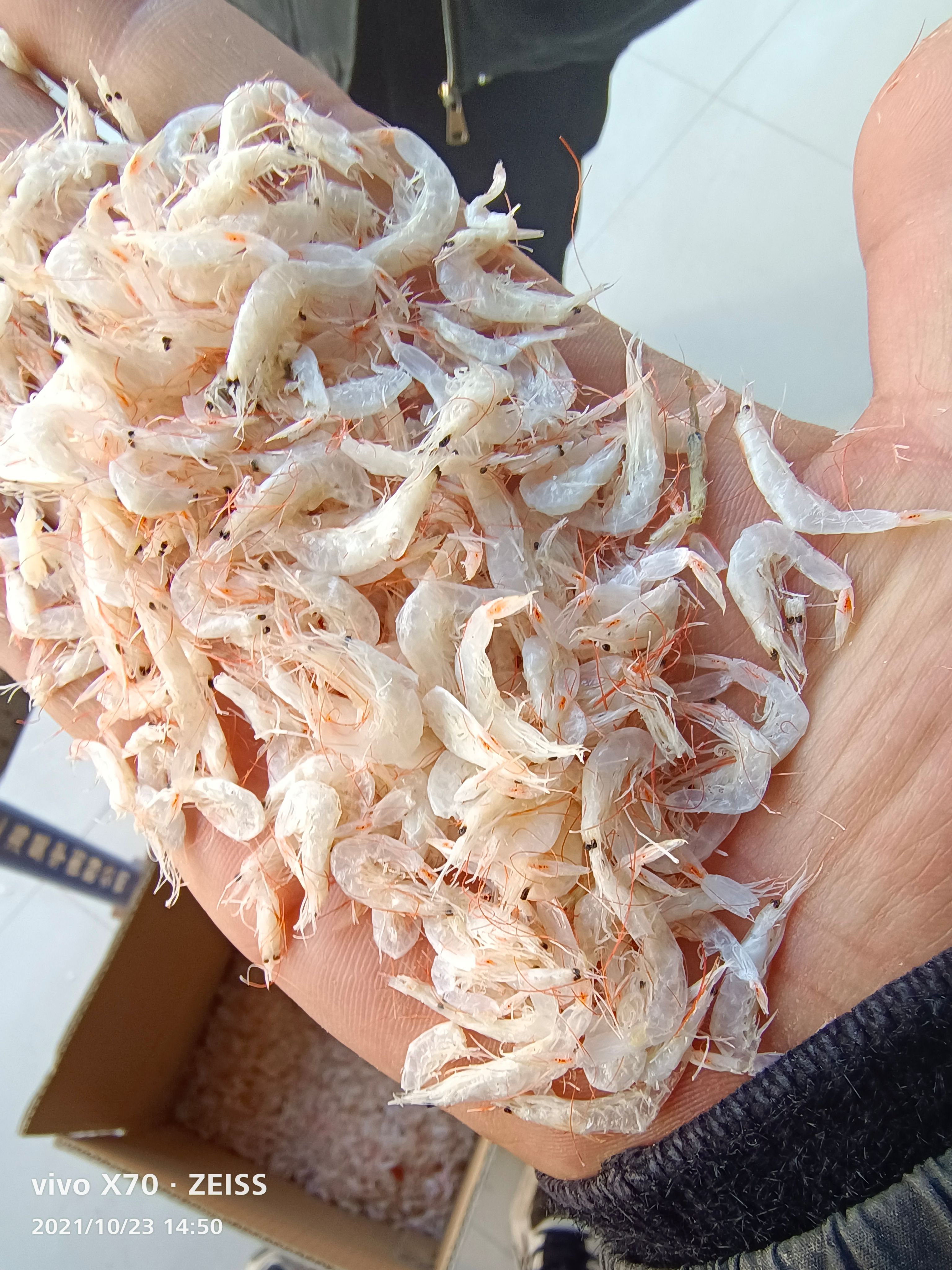 盐干虾皮，饵料，调料虾皮