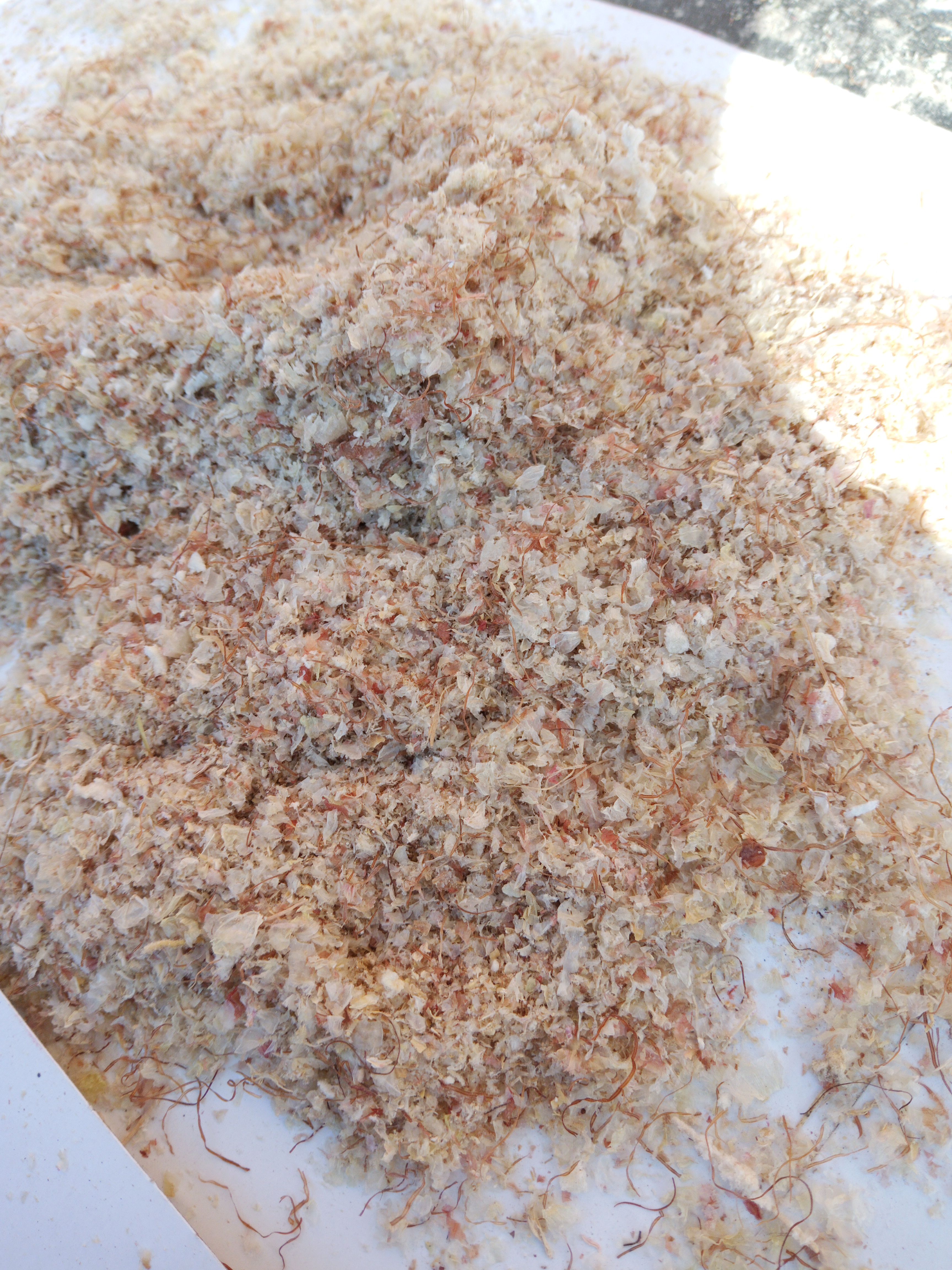 玉米糠 玉米毛毛  牛羊饲料