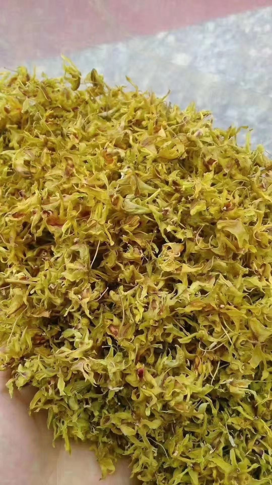 霍山铁皮石斛花 石斛花