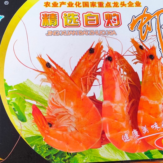 东莞市 红虾