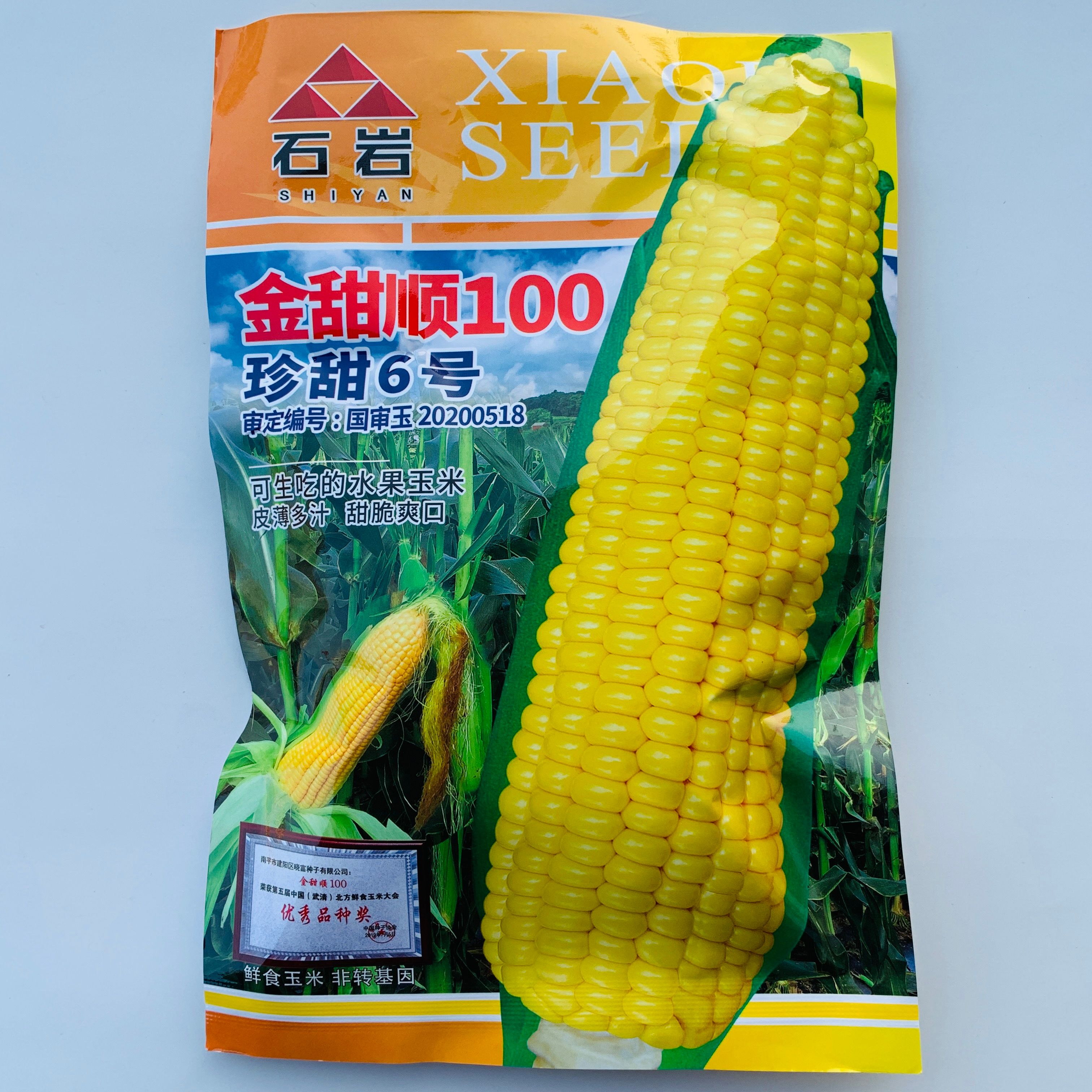 沭阳县甜玉米种子  粘玉米种子黄粘糯玉米种籽皮薄糯甜糯玉米种子水果