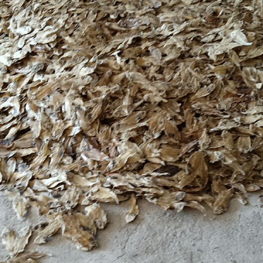 阳江皮菜干 18-24个月