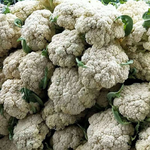 徐州白花菜花 适中 江苏省徐州市铜山区 2~3斤
