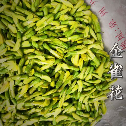 易门县食用金雀花2024四月80一斤青绿色蜜香味,不是橙红色锦鸡儿