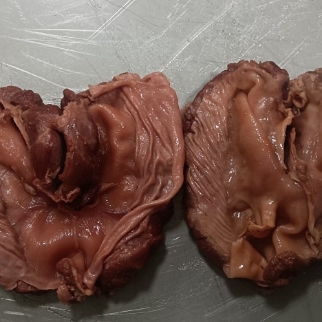 熟护心肉，罗根肉，连肝肉，有原味和传统五香两种，熟度可订制！