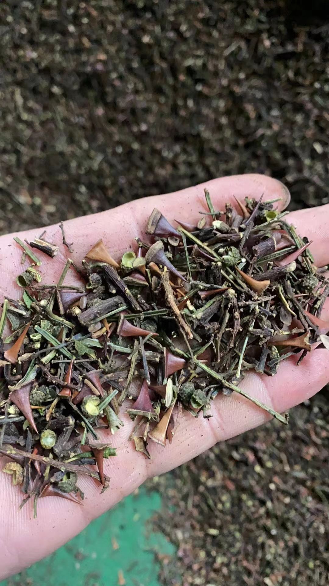 青花椒打粉料！青花椒色选出来的花椒梗连着花椒颗粒机器过筛