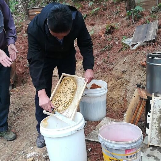 清远 永盛蜂蜜