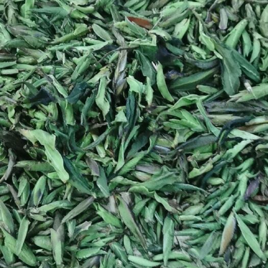 临沧绿茶 大山茶（红茶、白茶、芽苞）