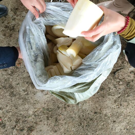 英德市酸笋 靓货，工厂原材料直发