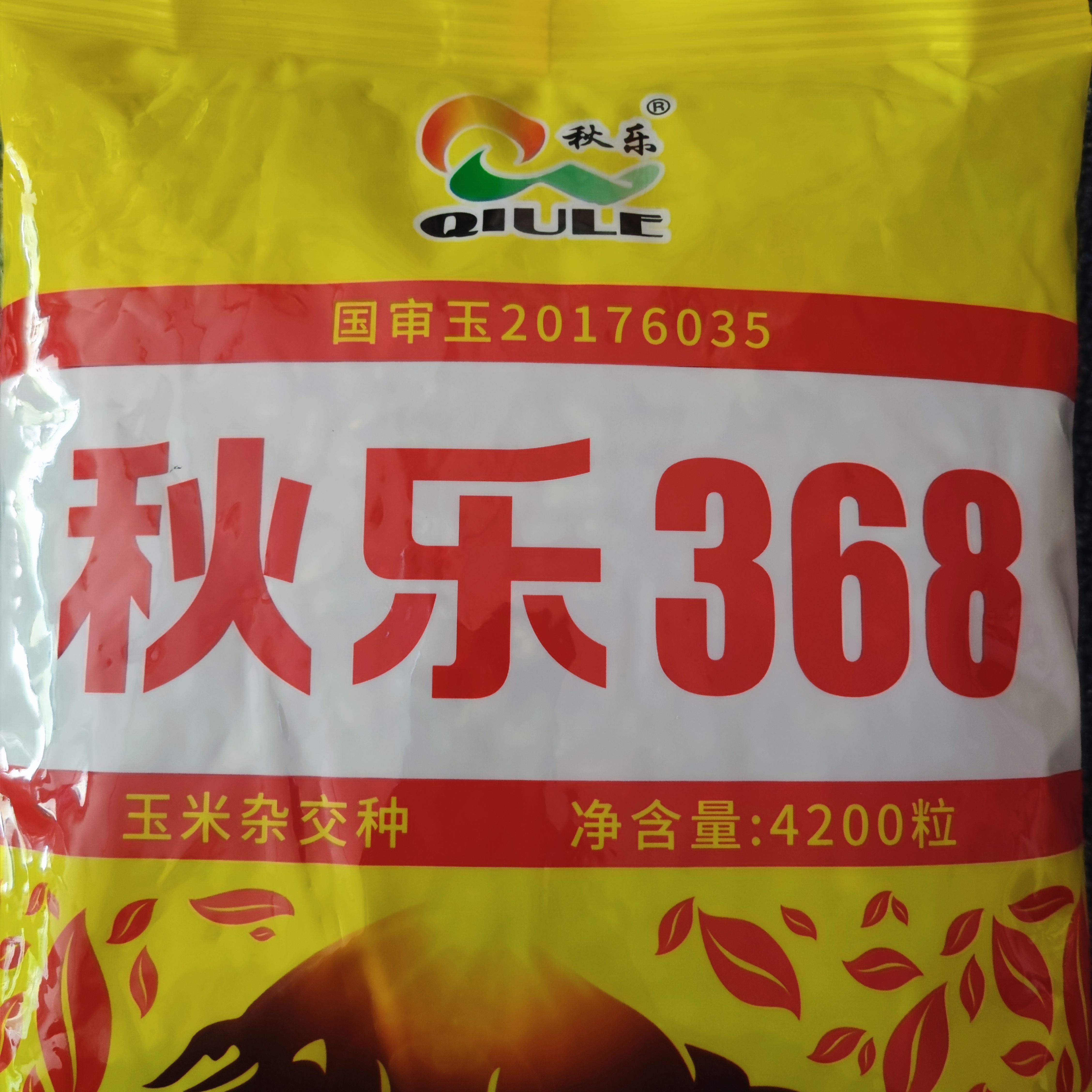 秋乐618玉米品种审定号图片
