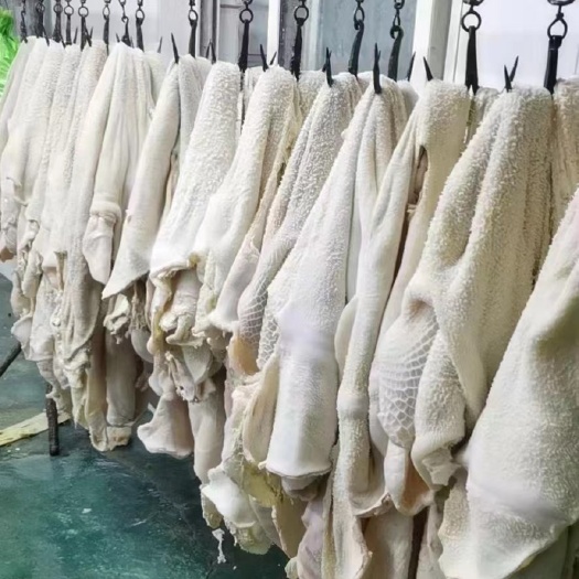 阳信县牛肚，半成品牛肚，全熟牛肚