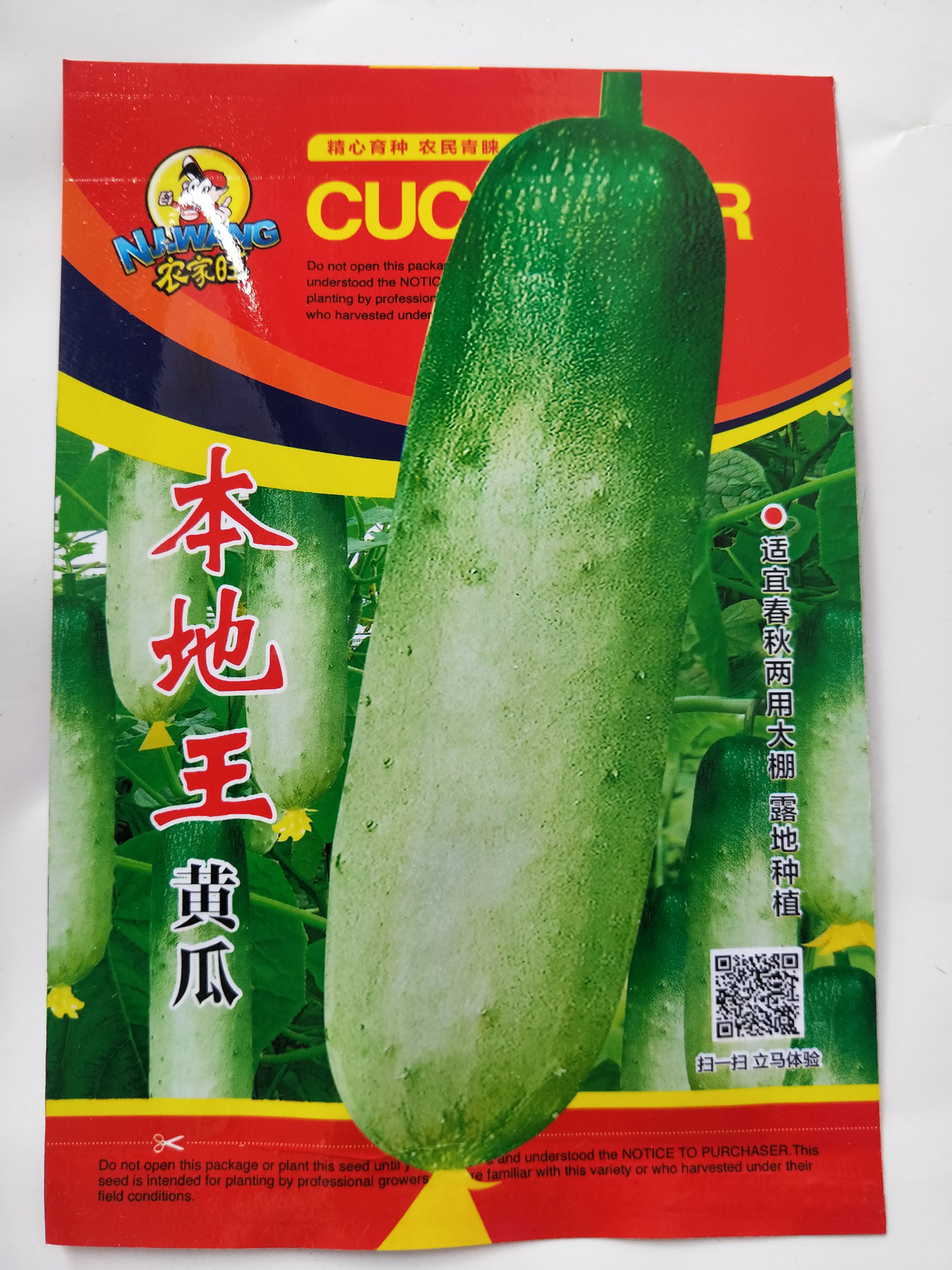 南宁水果黄瓜种子 旱黄瓜本地黄瓜水果黄瓜满地爬四季蔬菜阳台蔬菜