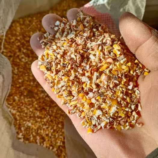 武强县玉米秸秆 鸡 鸭 鹅 猪 牛 羊 马 虾
