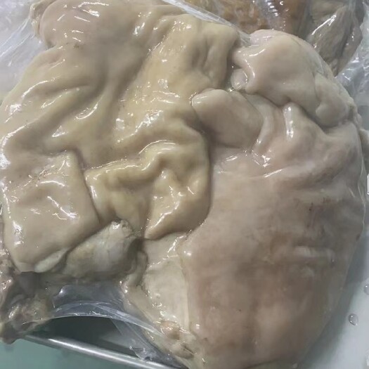 阳信县熟羊肉（带皮）  不带皮熟羊肉都有