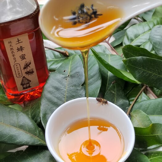高州市百花蜜  农家自产冬蜜大自然的搬运工