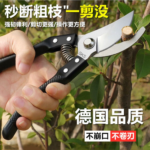 粗枝果树修枝剪刀园艺修剪树枝园林省力修花枝剪家用花卉果枝剪
